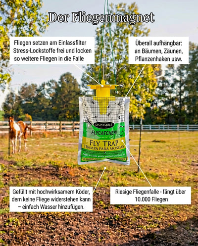 BioCatch Fliegenmagnet